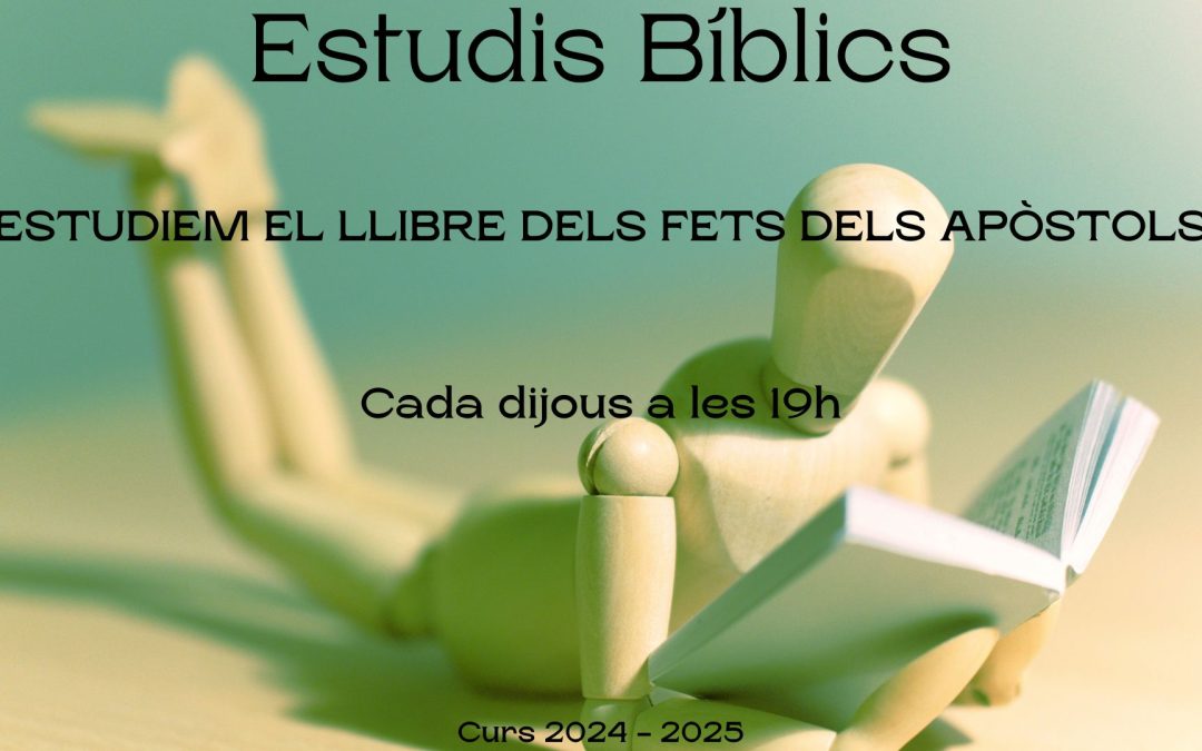 Estudis bíblics